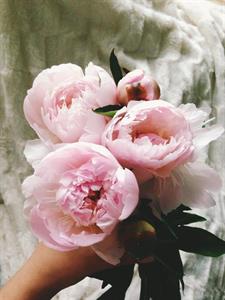 Photo 673673