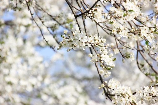 Photo 838926
