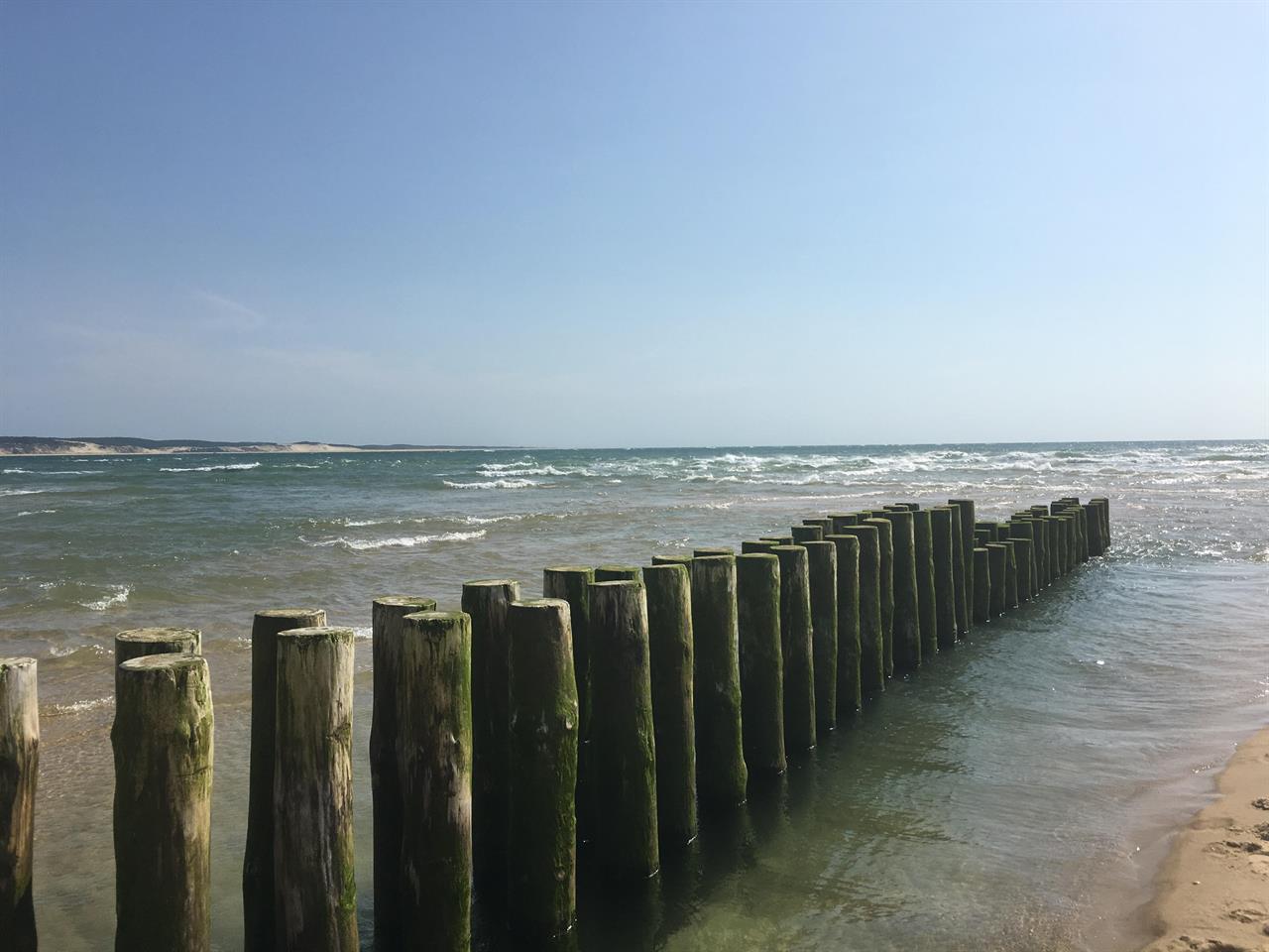 Photo 909752