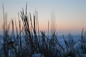 Photo 964787