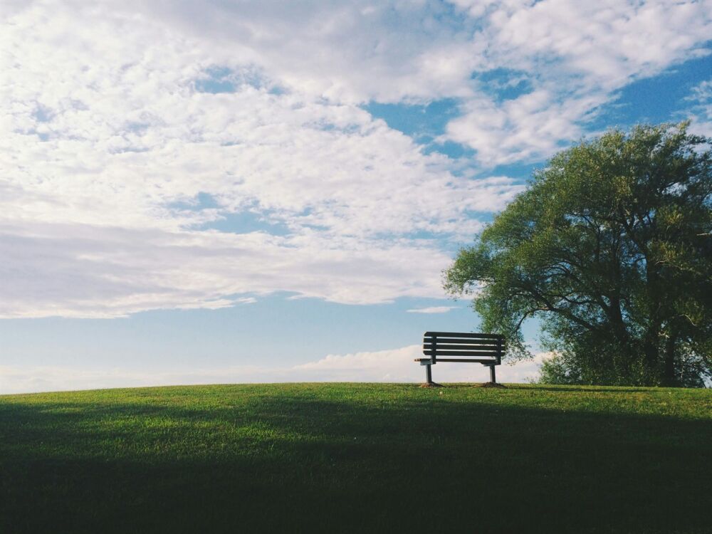 Photo 977539